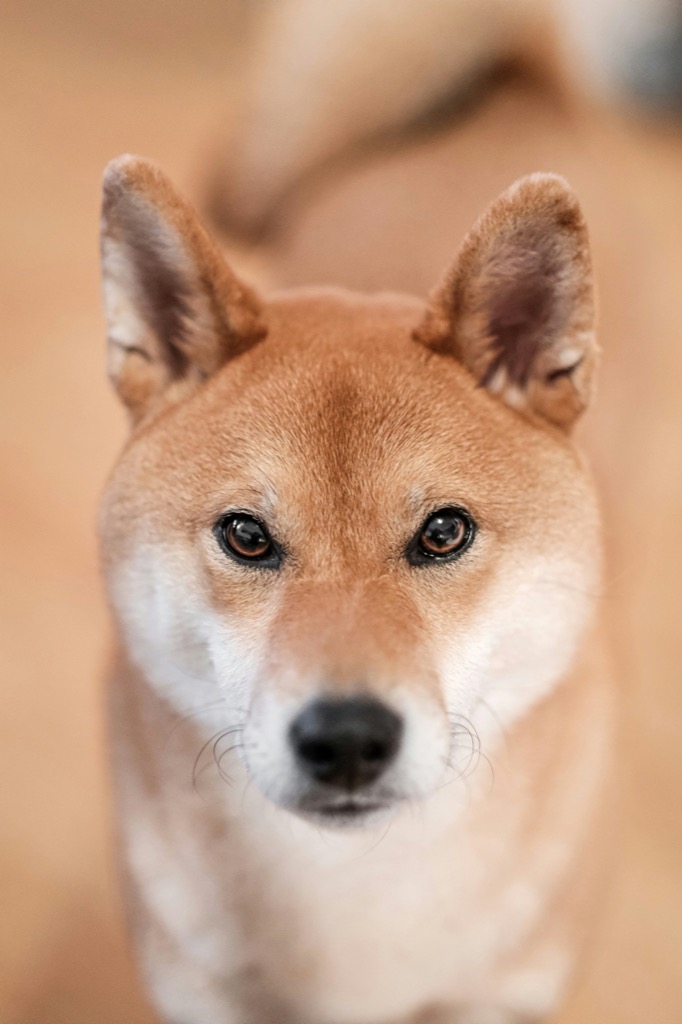 Foto aus dem Portfolio