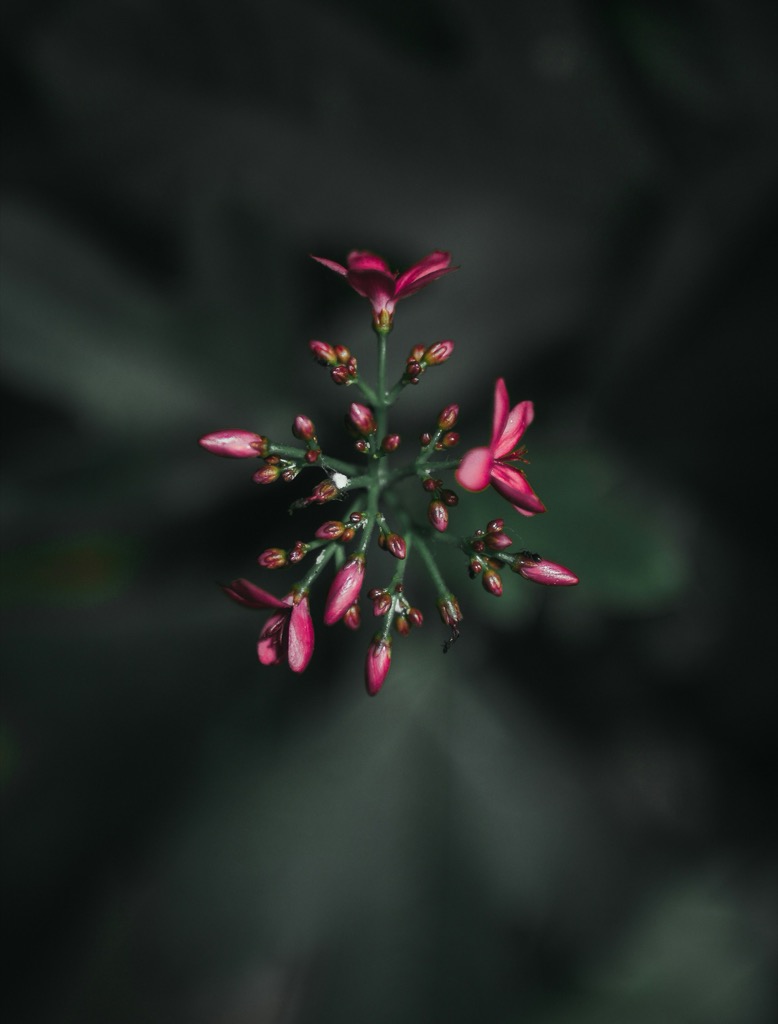 Foto aus dem Portfolio