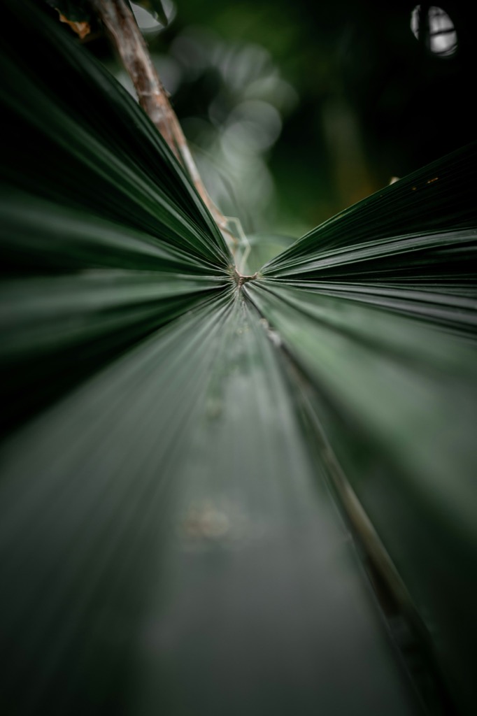 Foto aus dem Portfolio